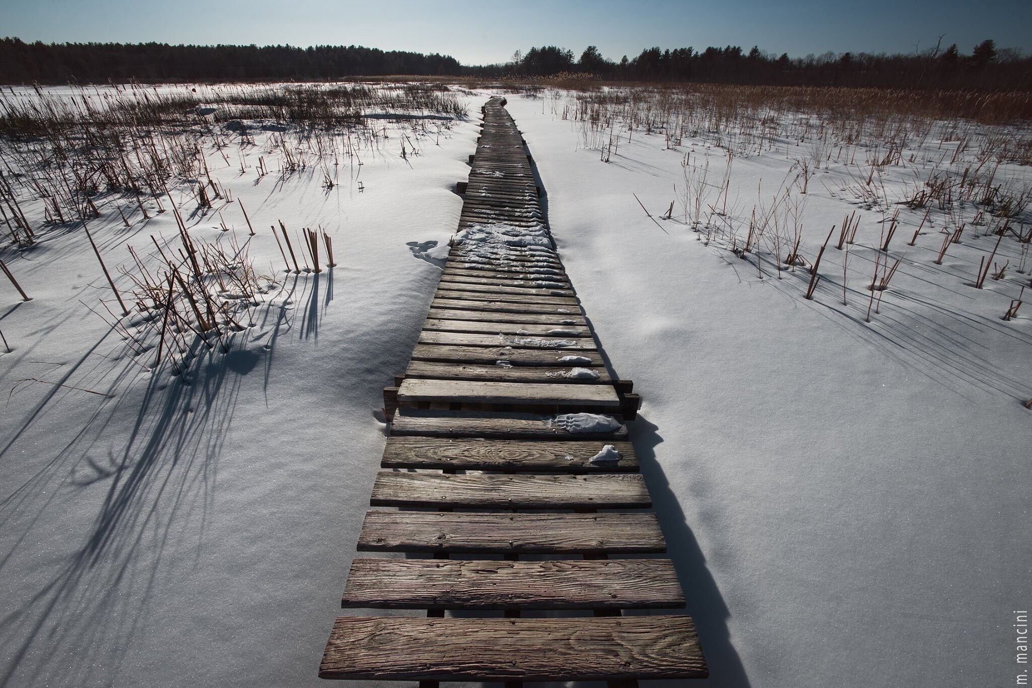 MarissaMancini.com ...snowy day on the lake.