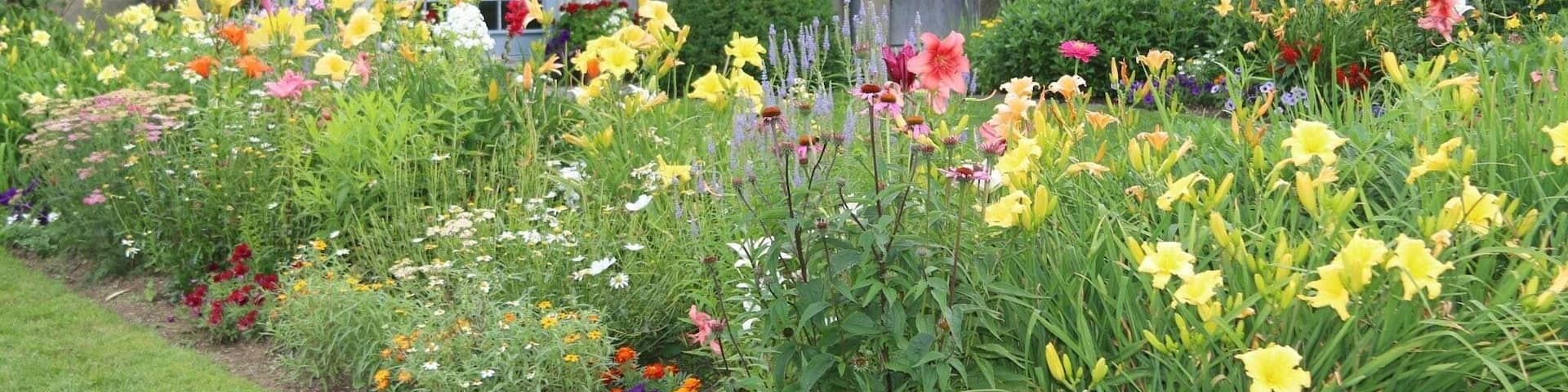 Stumbled upon this lovely place on a weekend drive. Topsmead State Forest includes the summer home of Edith Morton Chase, daughter of Harry Sabin Chase the 1st President of Chase Brass and Copper Company. There are lovely gardens surrounding the home which serve as host to many weddings and photo shoots.