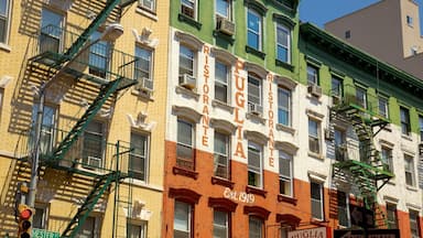 Little Italy featuring a city and signage