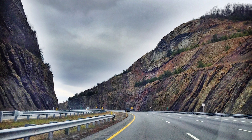 Sideling Hill is impressive beyond words. After going up and down hills in the gray, foggy day, this sight was welcomed. With a rest stop on both sides of the roads, you can follow a pathway to get a better look at the clear rock layers that make up the mountain.
#geology #maryland #outdoors #roadtrip