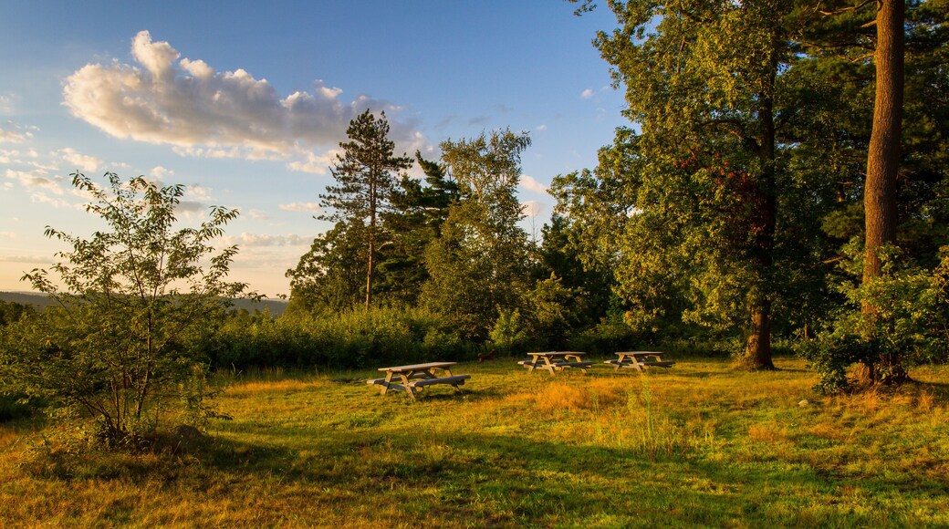 Picnic tables at the Prouty overlook in Littleton, Massachusetts