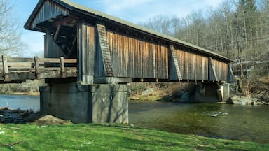 Un puente cubierto de madera sobre un río, con base de hormigón.