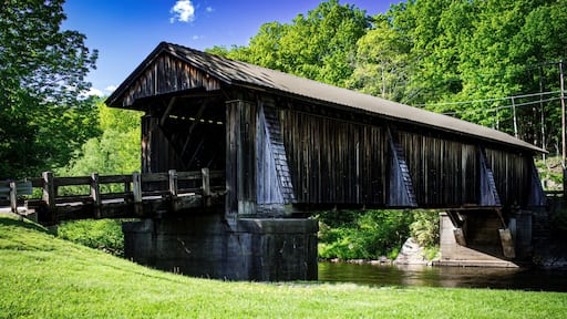 リビングストン マナー