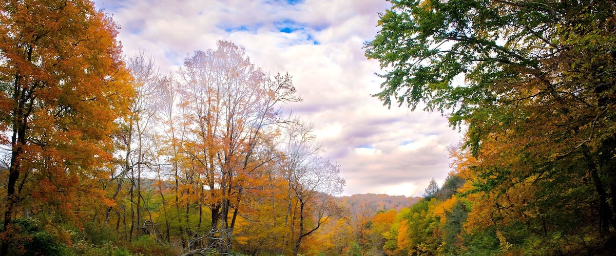 A river surrounded by autumn-colored trees.