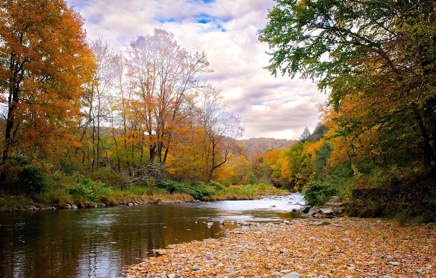 Ein Fluss, umgeben von herbstlich gefärbten Bäumen.