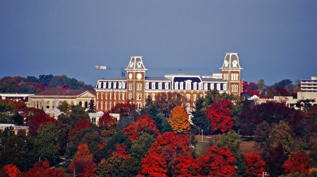 Fayetteville featuring skyline