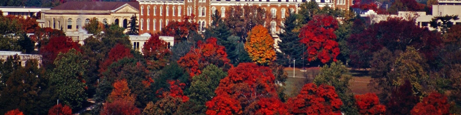 Fayetteville featuring skyline