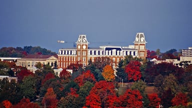 Fayetteville featuring skyline