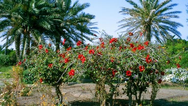 A garden with red flowers and palm trees.