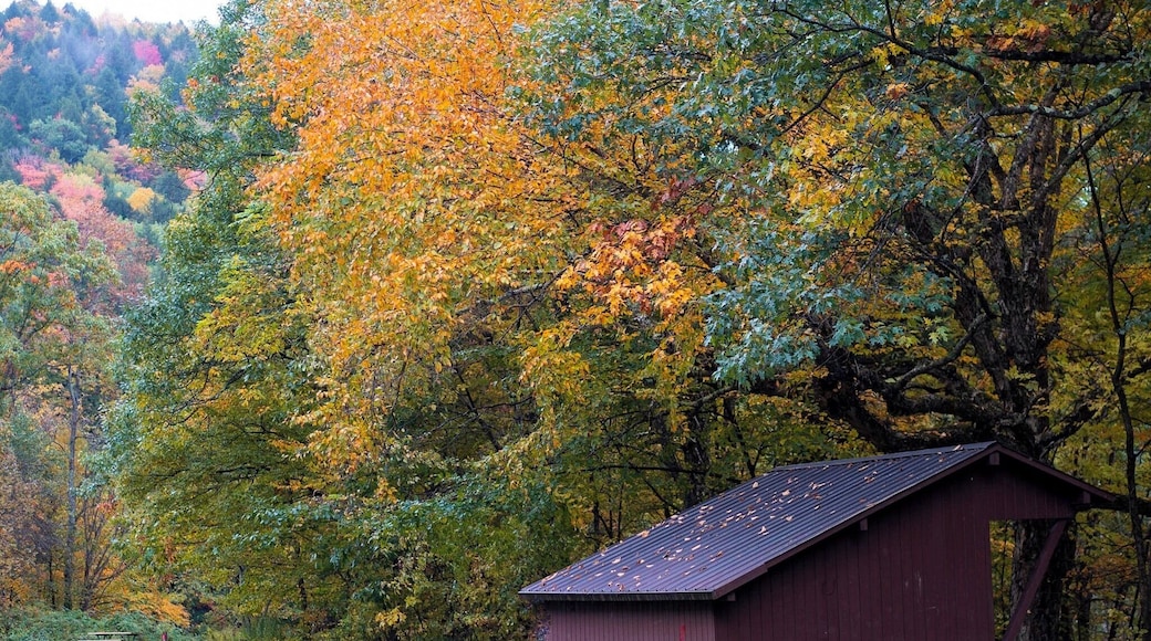 Love our public lands! This Army Corps campground has a clean rushing stream in the middle and mountains all around. Seasonal.