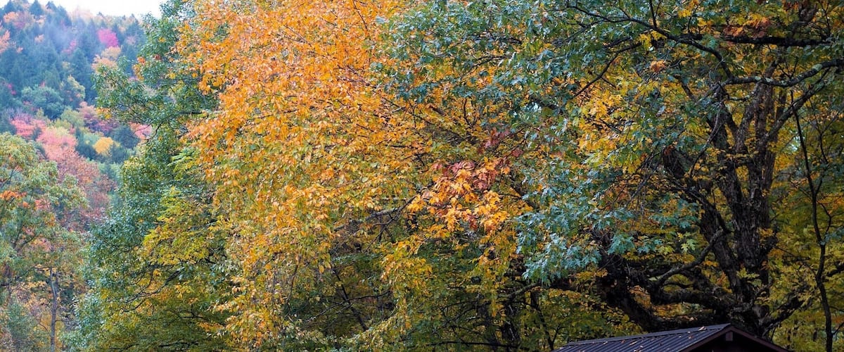 A red wooden shed in a forest with autumn-colored trees.