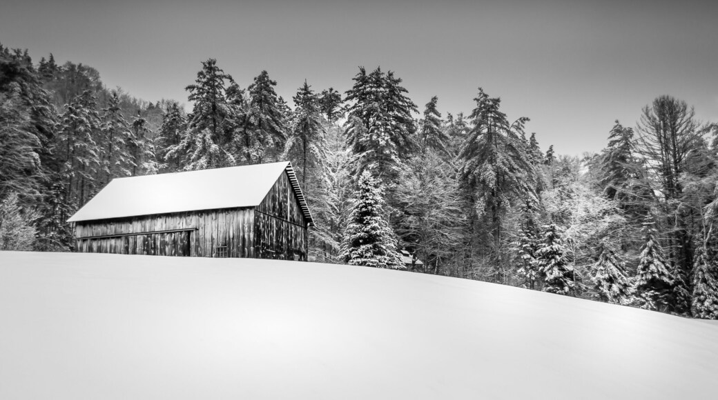 Old wooden barn on the hill covered with snow and forest in the background. Winter scenery in Vermont.