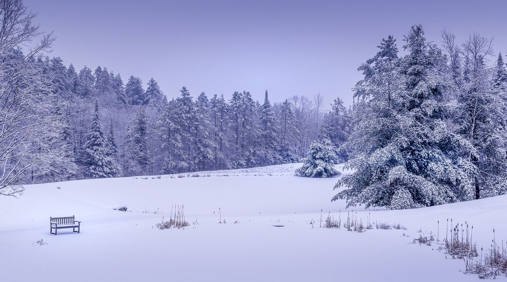 White winter wonderland scenery in South Londonderry, Vermont with snow covered trees, bench, pond and blue cloudy sky in the background. Cold snowy day.