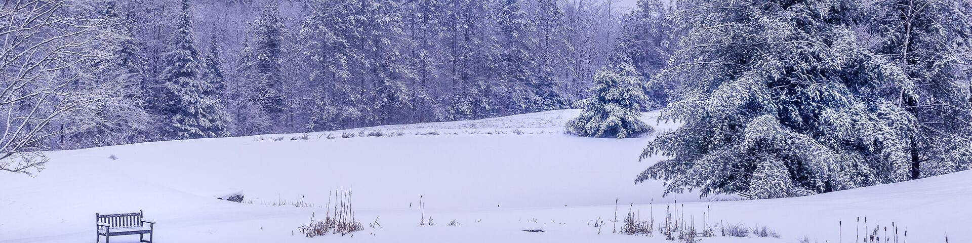 White winter wonderland scenery in South Londonderry, Vermont with snow covered trees, bench, pond and blue cloudy sky in the background. Cold snowy day.