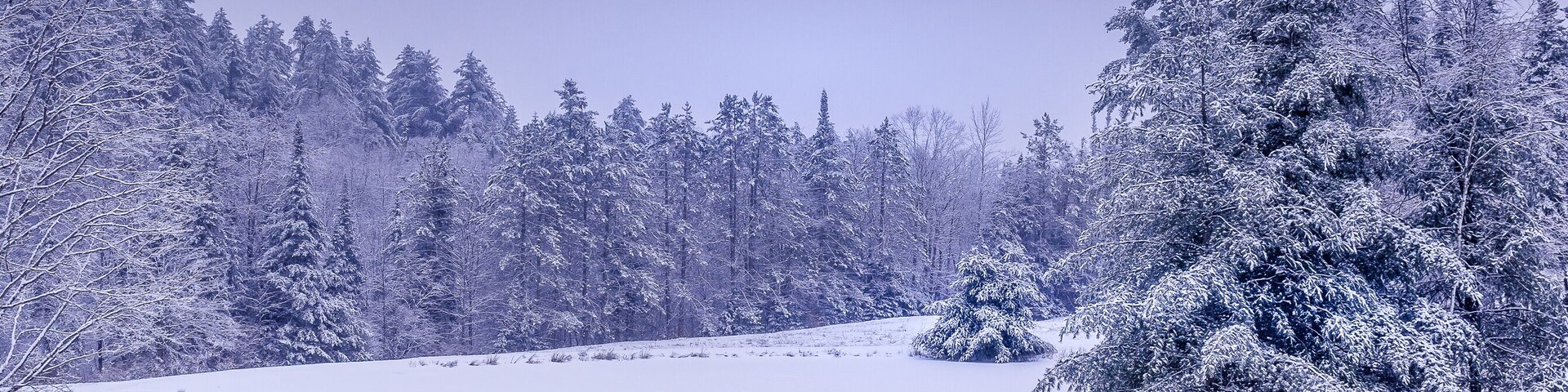 White winter wonderland scenery in South Londonderry, Vermont with snow covered trees, bench, pond and blue cloudy sky in the background. Cold snowy day.