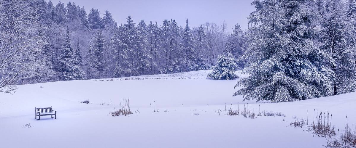 A snow-covered landscape with a bench and trees.