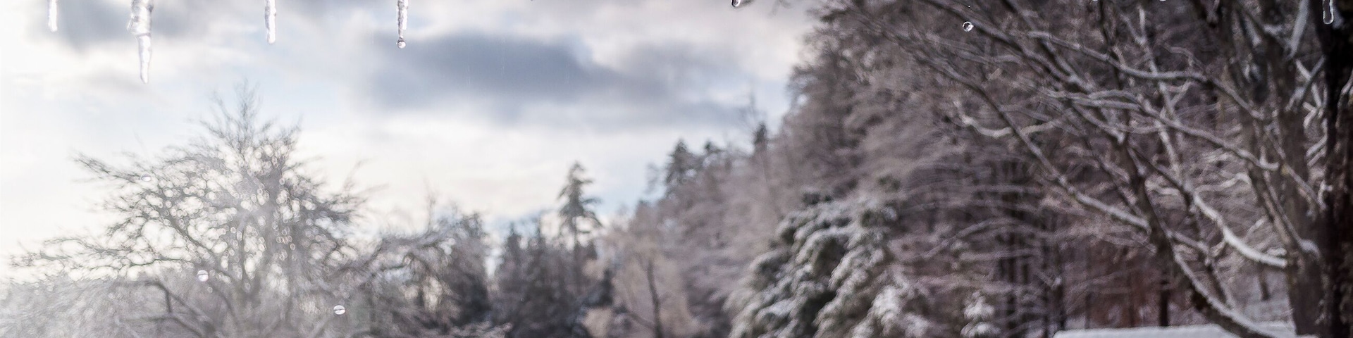 The white winter wonderland scenery in Londonderry, Vermont with snow covered trees, icicles and blue cloudy sky in the background on a cold day. Selective focus.