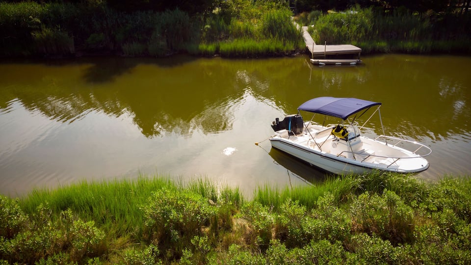 A small boat with a canopy anchored near a dock.