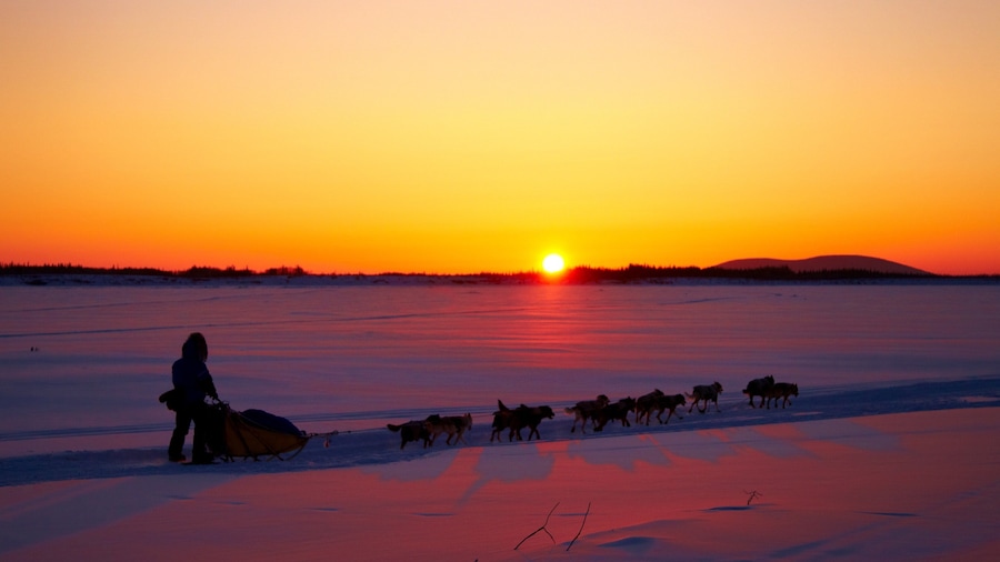 Galena featuring a sunset, snow and dog sledding