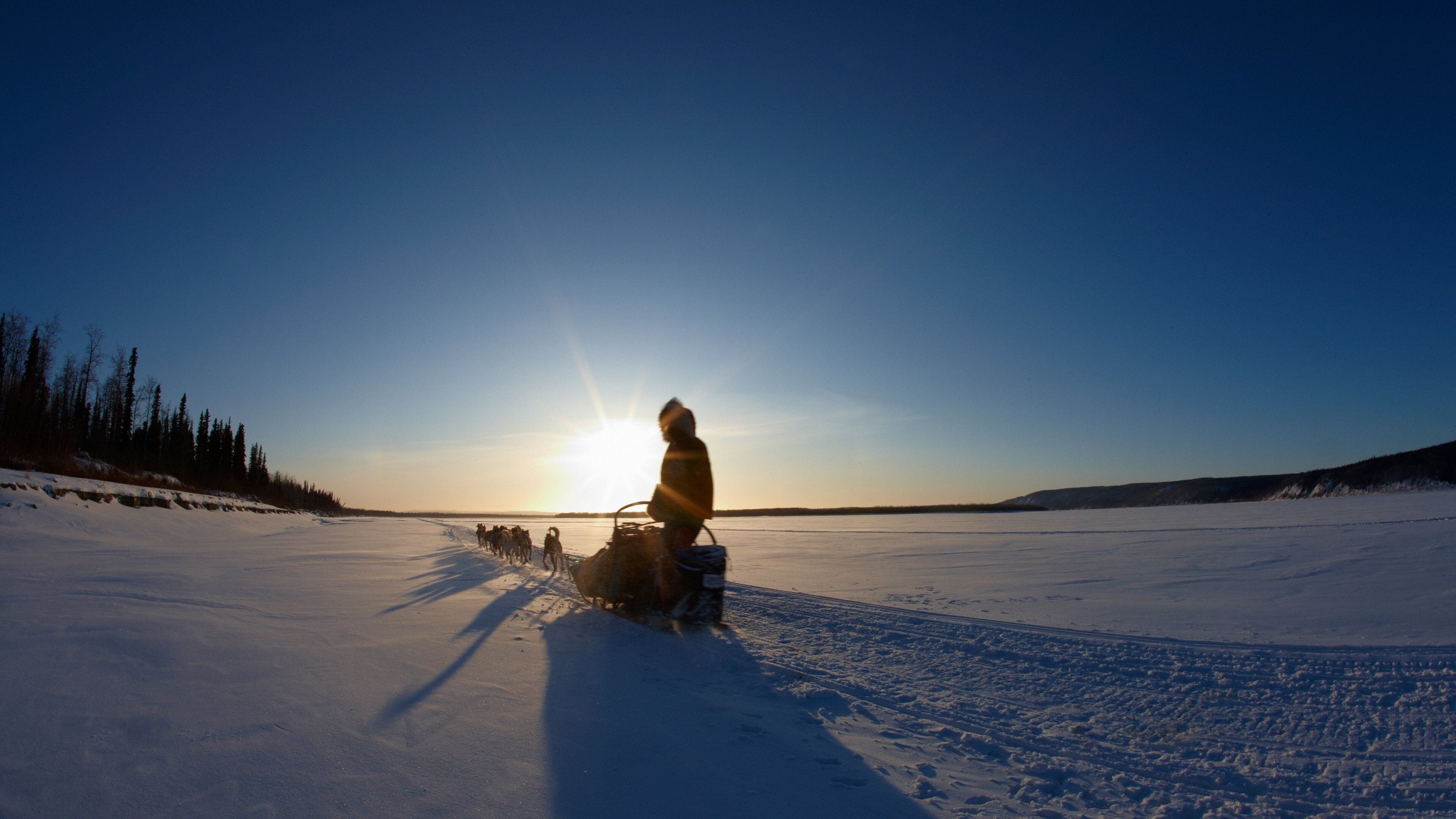 Galena which includes snow and dog sledding