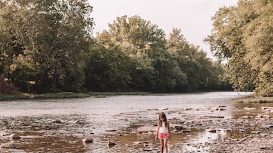 7 year old playing in the creek, summertime evening