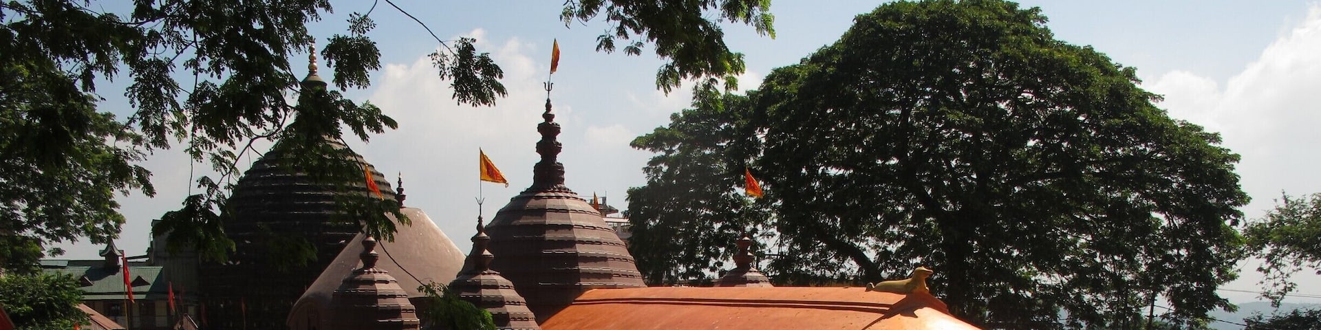 Kamakhya Temple. Dedicated to the goddess Shakti, is located in the Nilachal hill, in the western part of the city. It is a mixture of colors, smells and people... a very big show.