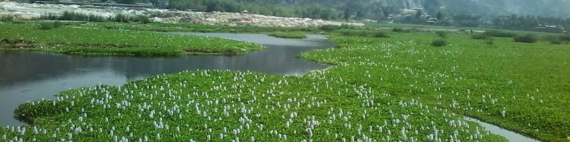 Un paisaje con un río, vegetación verde y colinas rocosas al fondo.