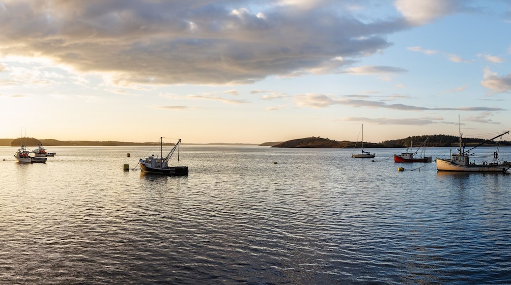 Lubec Maine Lobster Fishing Boats