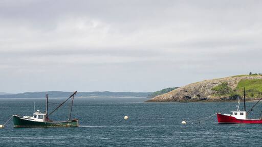 USA, Maine, Lubec. Fishing boat anchored at Lubec, Maine.