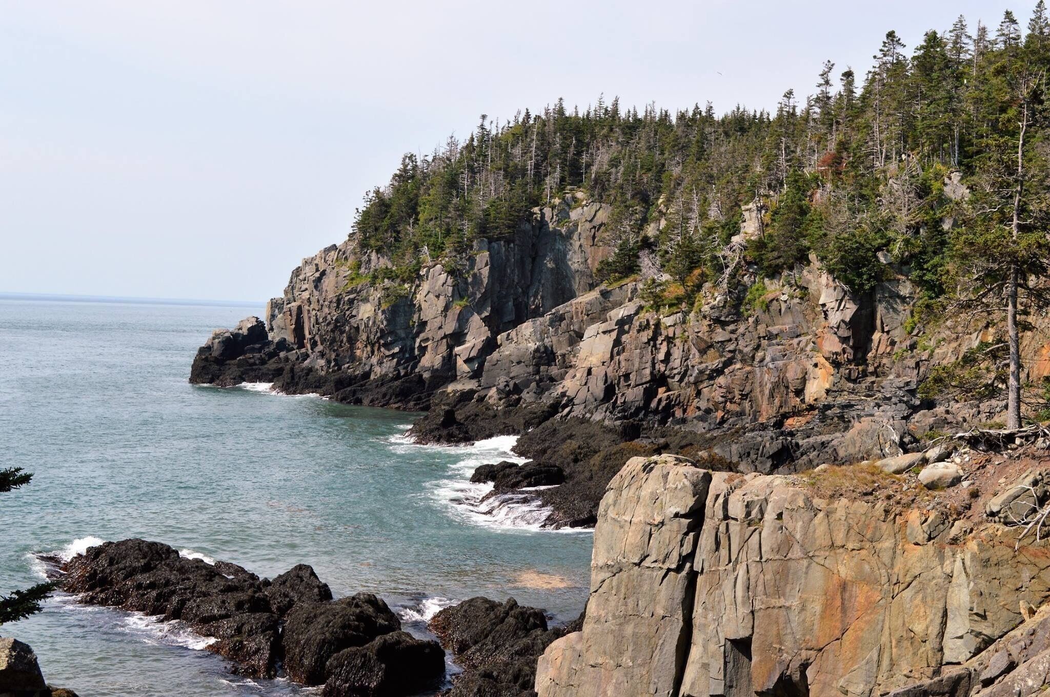 The town of Lubec is the easternmost town in the USA. This is the West Qouddy ahead Lighthouse. 

Here we are looking at some of Maine's rugged coastline. The tides here are huge. 
