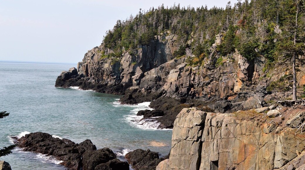 The town of Lubec is the easternmost town in the USA. This is the West Qouddy ahead Lighthouse.
Here we are looking at some of Maine's rugged coastline. The tides here are huge.