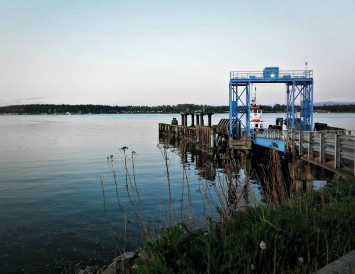 Saw a huge bald eagle fly over our heads while watching the sunset off of mount baker while waiting for the ferry back to the mainland. 
Take the ferry to lummi island by car or bring a bicycle to really explore and get around. 