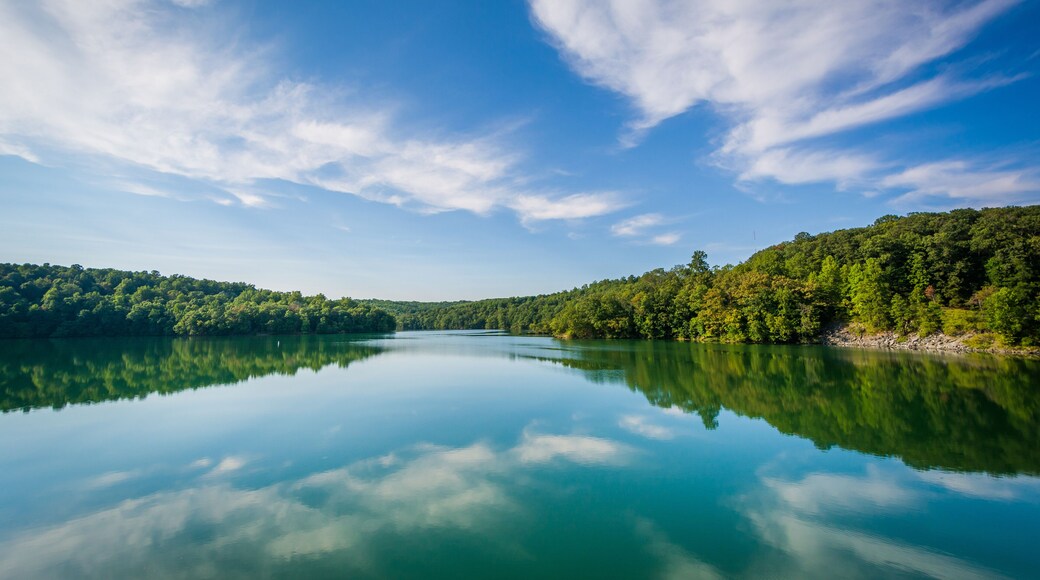 Lutherville Timonium