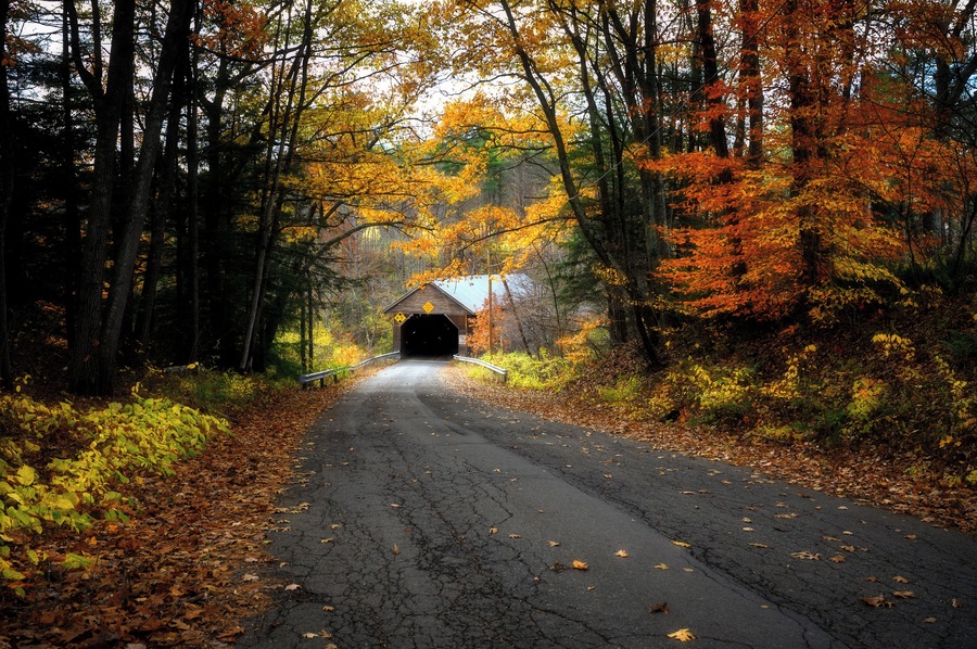 Edgell Covered Bridge is located on River Rd in Lyme NH and crosses Clay Brook. It was built in the late 1800's and is listed in the World Guide of Covered Bridges (WGCB), number 29-05-11, and New Hampshire covered bridge #25.
It is rumored that Edgell Covered Bridge was built by an 18 year old man in the late 1800's. As with some other covered bridges in the state of New Hampshire, it's roof caved in during a major snowstorm, due to the weight of the snow in February 1982.
#trovember