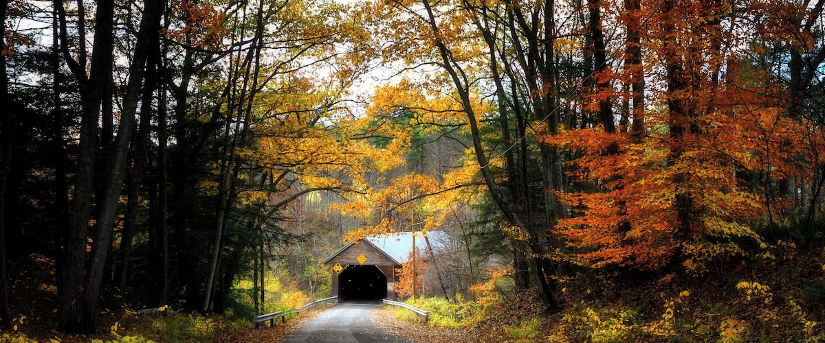 Edgell Covered Bridge is located on River Rd in Lyme NH and crosses Clay Brook. It was built in the late 1800's and is listed in the World Guide of Covered Bridges (WGCB), number 29-05-11, and New Hampshire covered bridge #25.
It is rumored that Edgell Covered Bridge was built by an 18 year old man in the late 1800's. As with some other covered bridges in the state of New Hampshire, it's roof caved in during a major snowstorm, due to the weight of the snow in February 1982.
#trovember