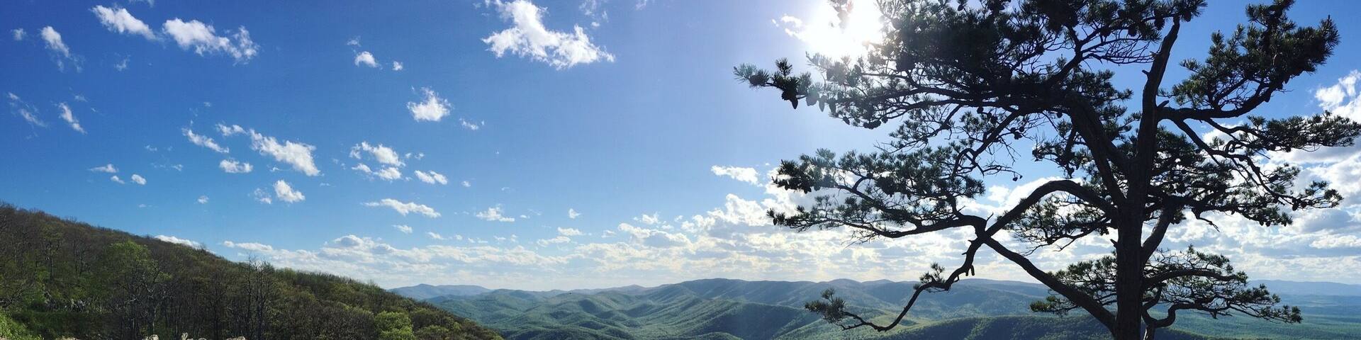This was one of my favorite overlooks off of the Blue Ridge Parkway. Worth the stop!