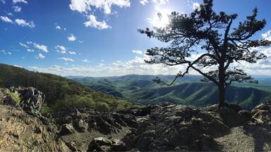 This was one of my favorite overlooks off of the Blue Ridge Parkway. Worth the stop!