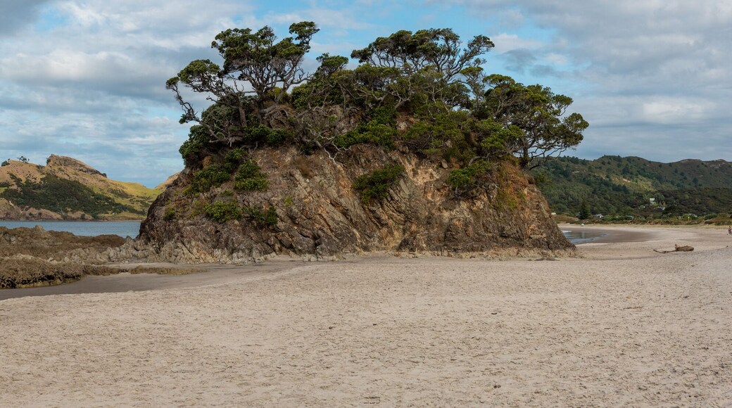 Tranquil abandoned Medlands Beach on Great Barrier Island
