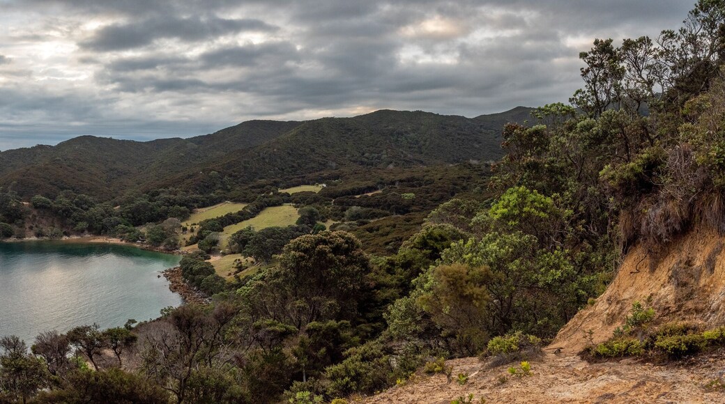 Magnificent panoramic view of Blind Bay on Great Barrier Island in the evening