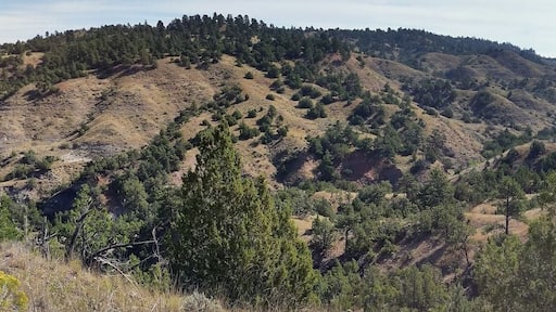 More pictures from previous day hikes in the Burnt Hallow