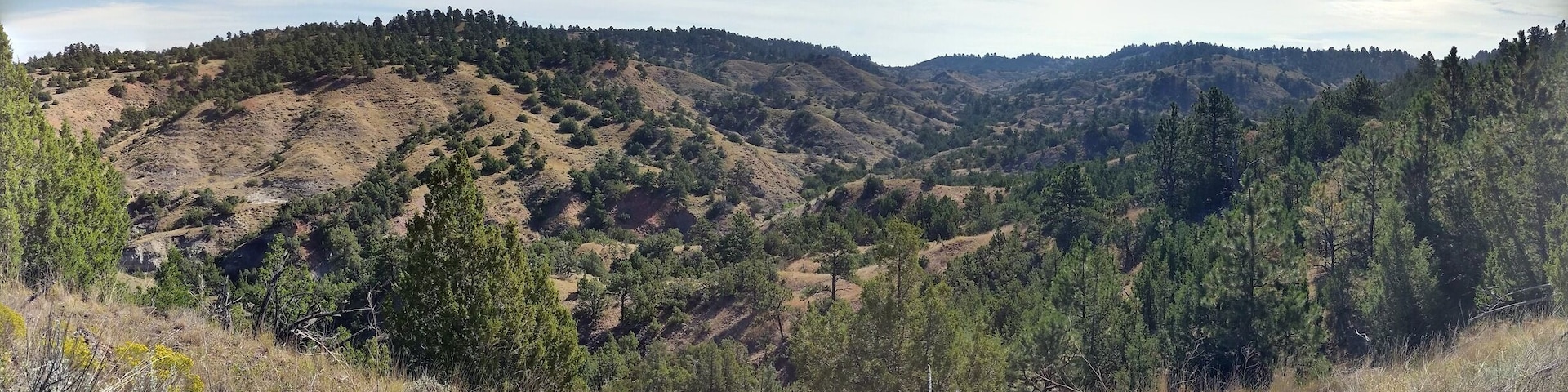 More pictures from previous day hikes in the Burnt Hallow