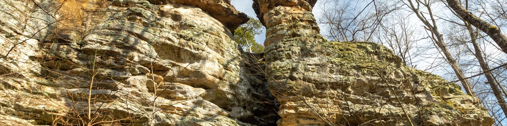 A rocky cliff with layered rock formations and sparse vegetation.