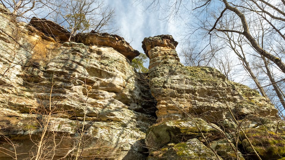 A rocky cliff with layered rock formations and sparse vegetation.