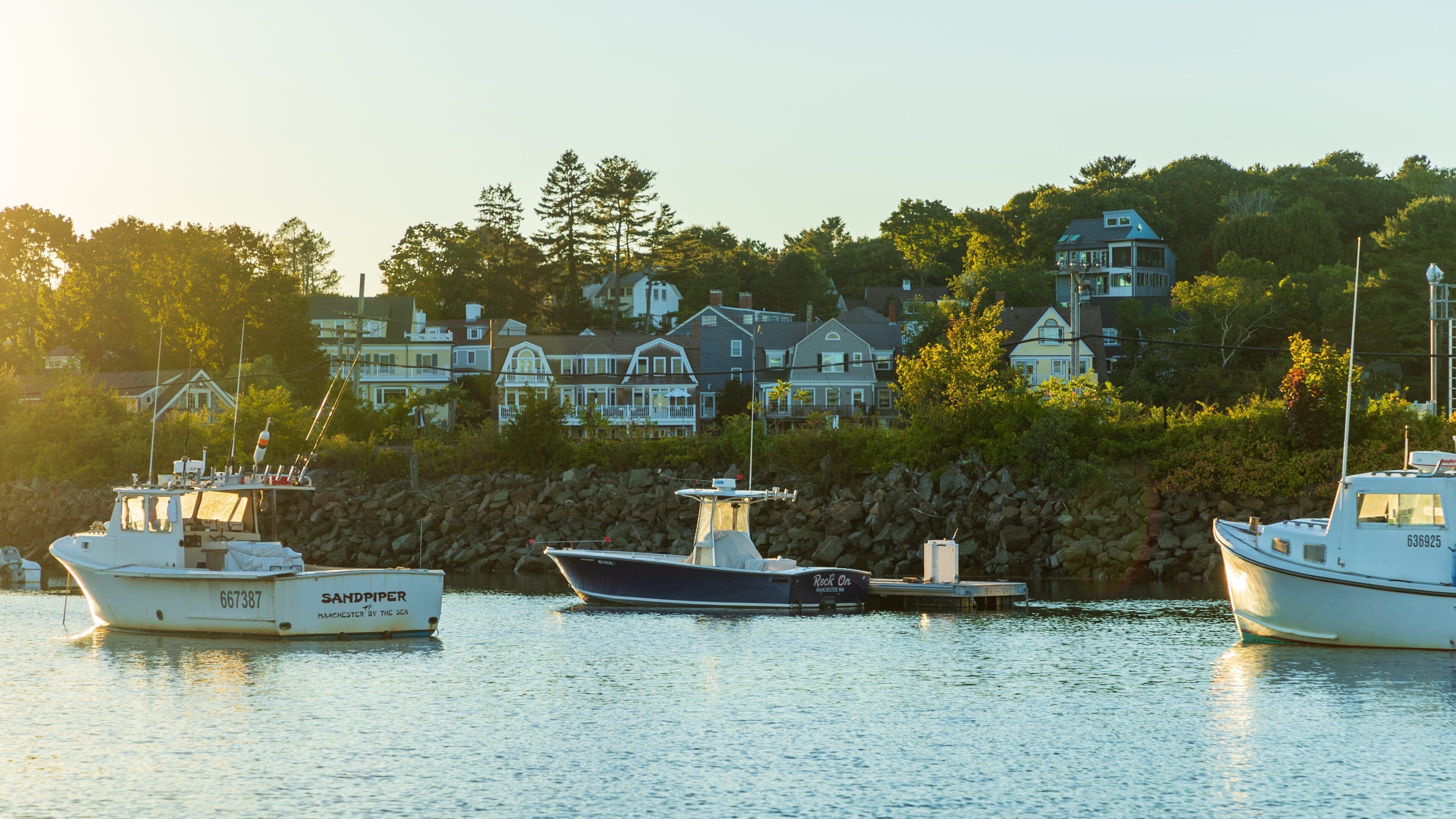 A harbor with boats docked, surrounded by houses and trees.