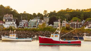 A harbor with boats and houses in the background.