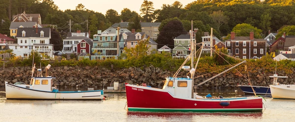 A harbor with boats and houses in the background.