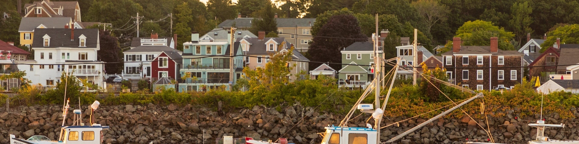 A harbor with boats and houses in the background.