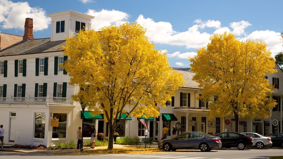 A street lined with white buildings and yellow autumn trees.