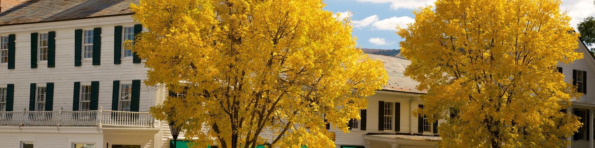 Manchester which includes a city