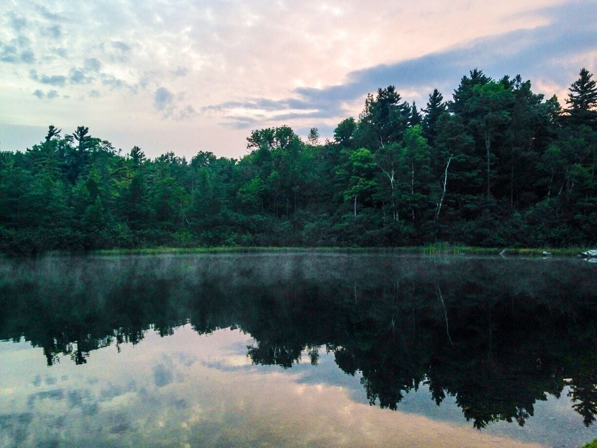 Got up at 4:30 to get this one. The preserve is absolutely stunning from sunrise to sunset.

I did hear something big a couple of times in the woods in the dark on the way up, which was a little unnerving but I made it back in one piece.

Standing alone on the bank of this lake/pond, I heard someone in the forest shout 'Goooood Mornin' Vietnaaaam!', a tribute to one of Robin Williams' best films and one you should watch if you haven't already.